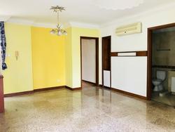 Seasons Park (D26), Condominium #154474872